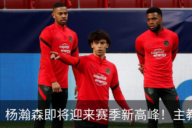 杨瀚森即将迎来赛季新高峰！主教练战术布局助力他的成长